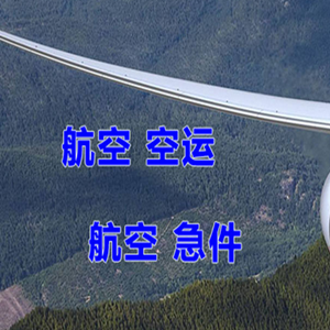 浪头机场快运快递-选东方航空和上海航空