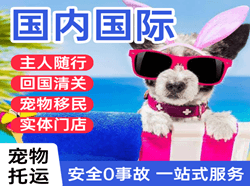 浪头机场快运国际宠物托运 【国
